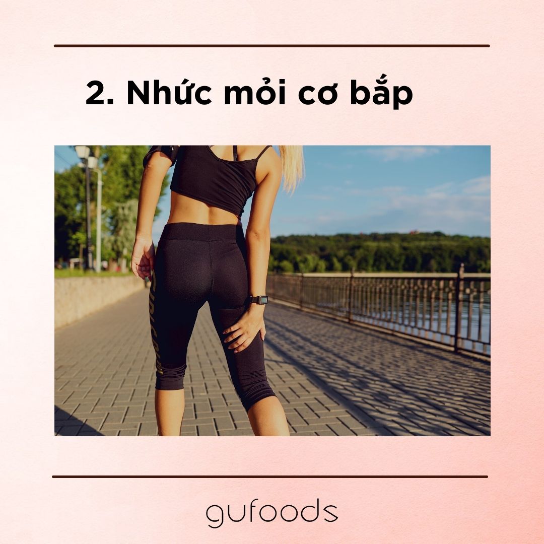 Tại sao gymer không nên dùng đồ uống có cồn?