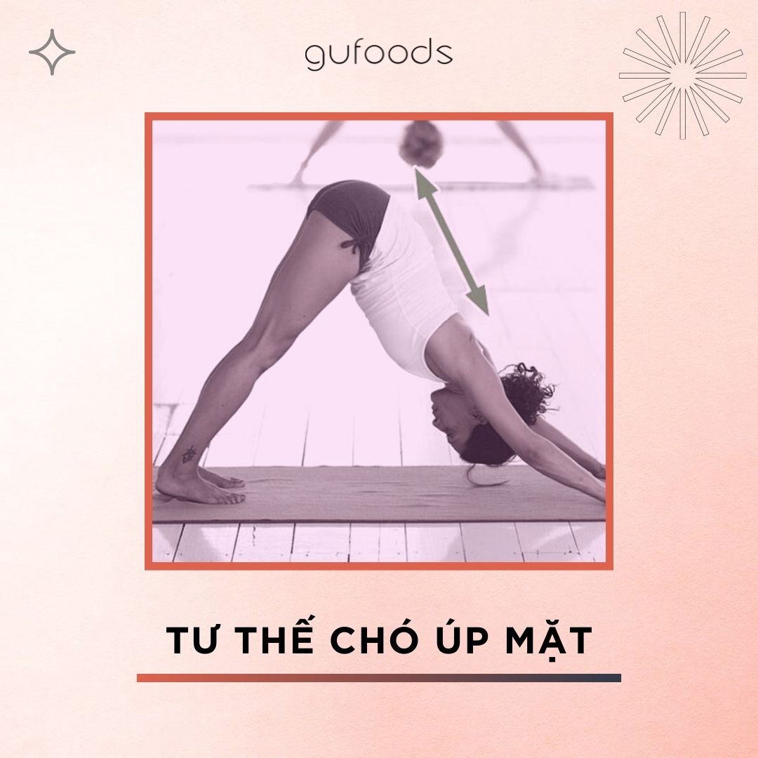 8 bài tập giảm đau lưng cho hội ngồi nhiều