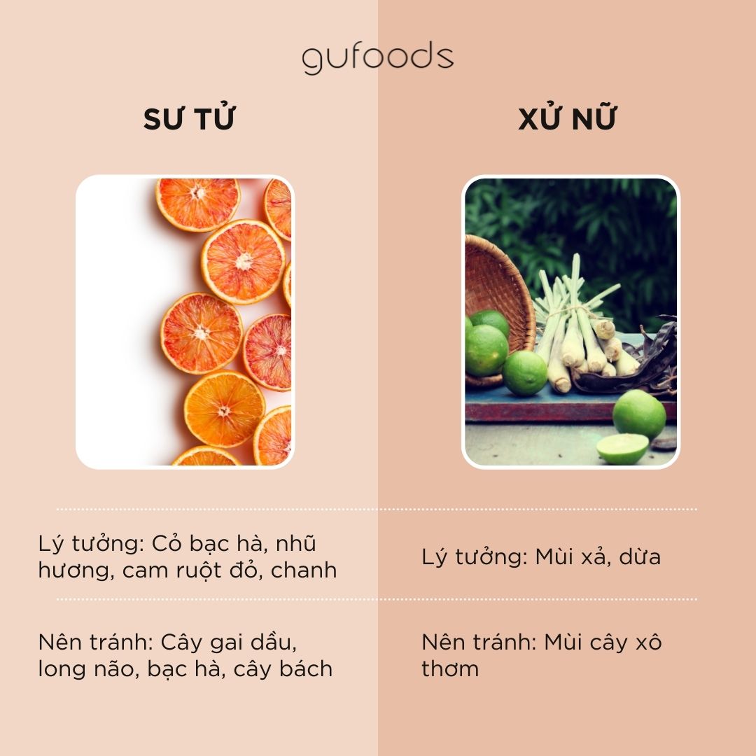 Hương thơm lý tưởng của 12 cung hoàng đạo