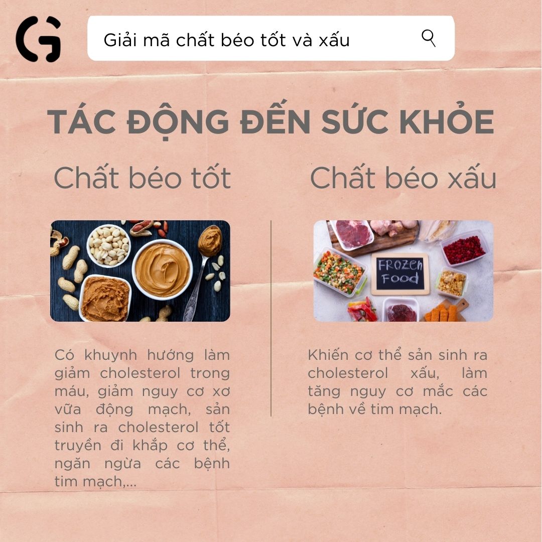 Giải mã chất béo tốt và xấu