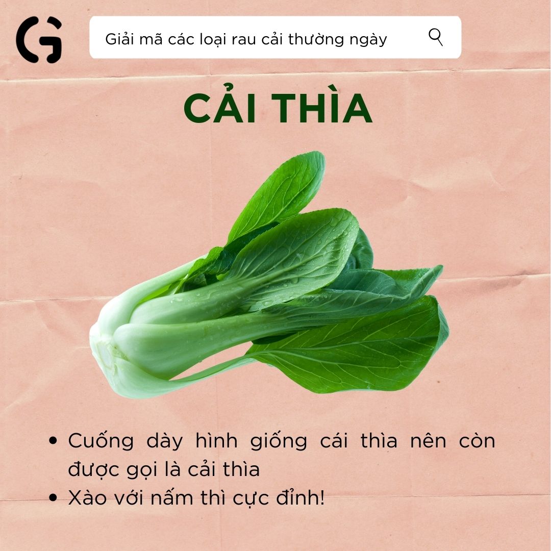 Hình dạng và công dụng của cải thìa