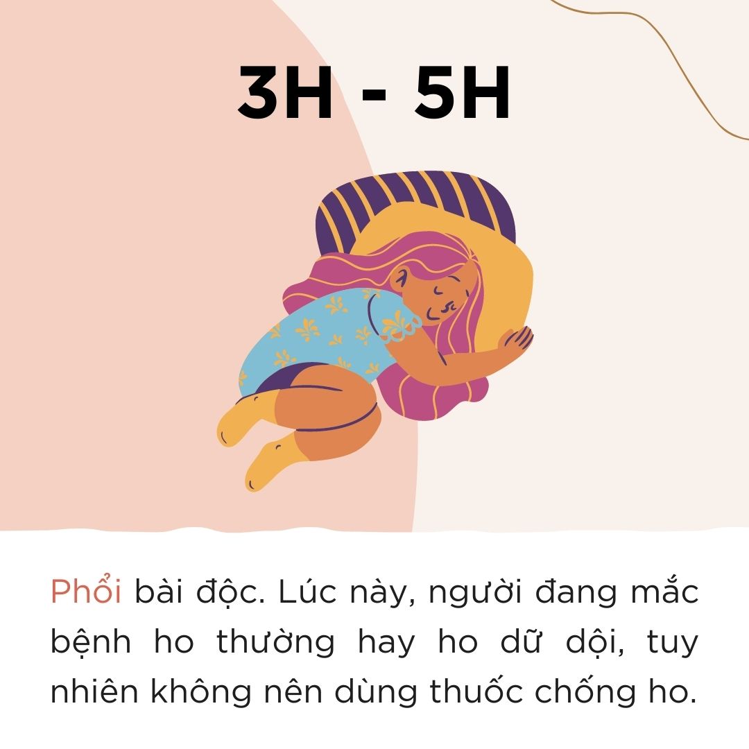 Cơ thể của chúng ta hoạt động như thế nào vào buổi tối?