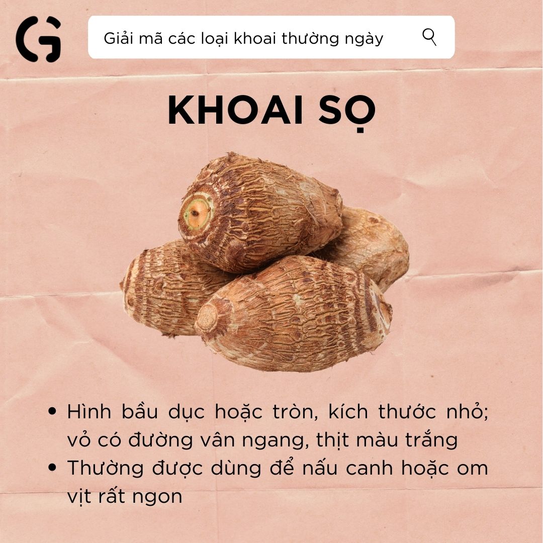 giải mã khoai sọ