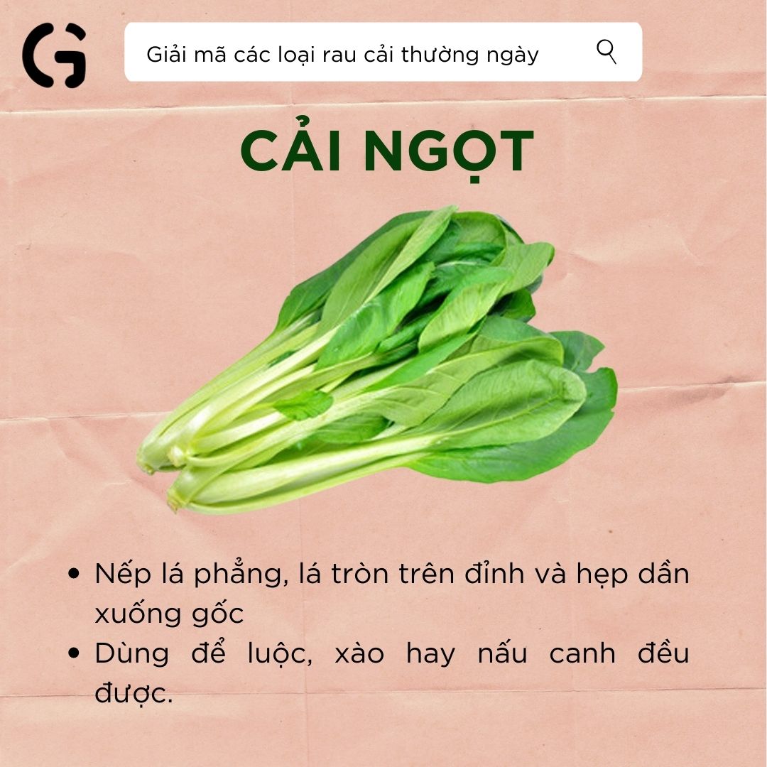 Hình dạng và công dụng của cải ngọt
