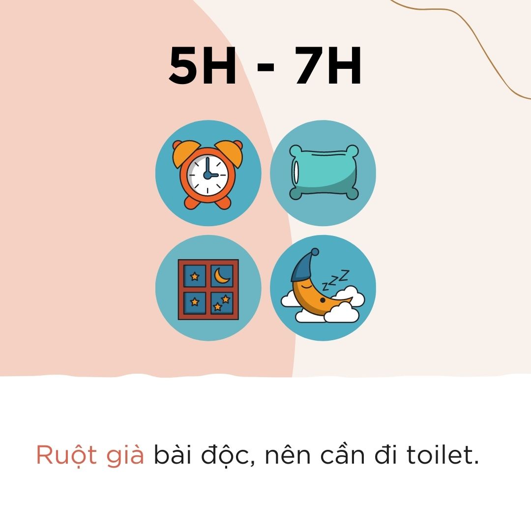 Cơ thể của chúng ta hoạt động như thế nào vào buổi tối?