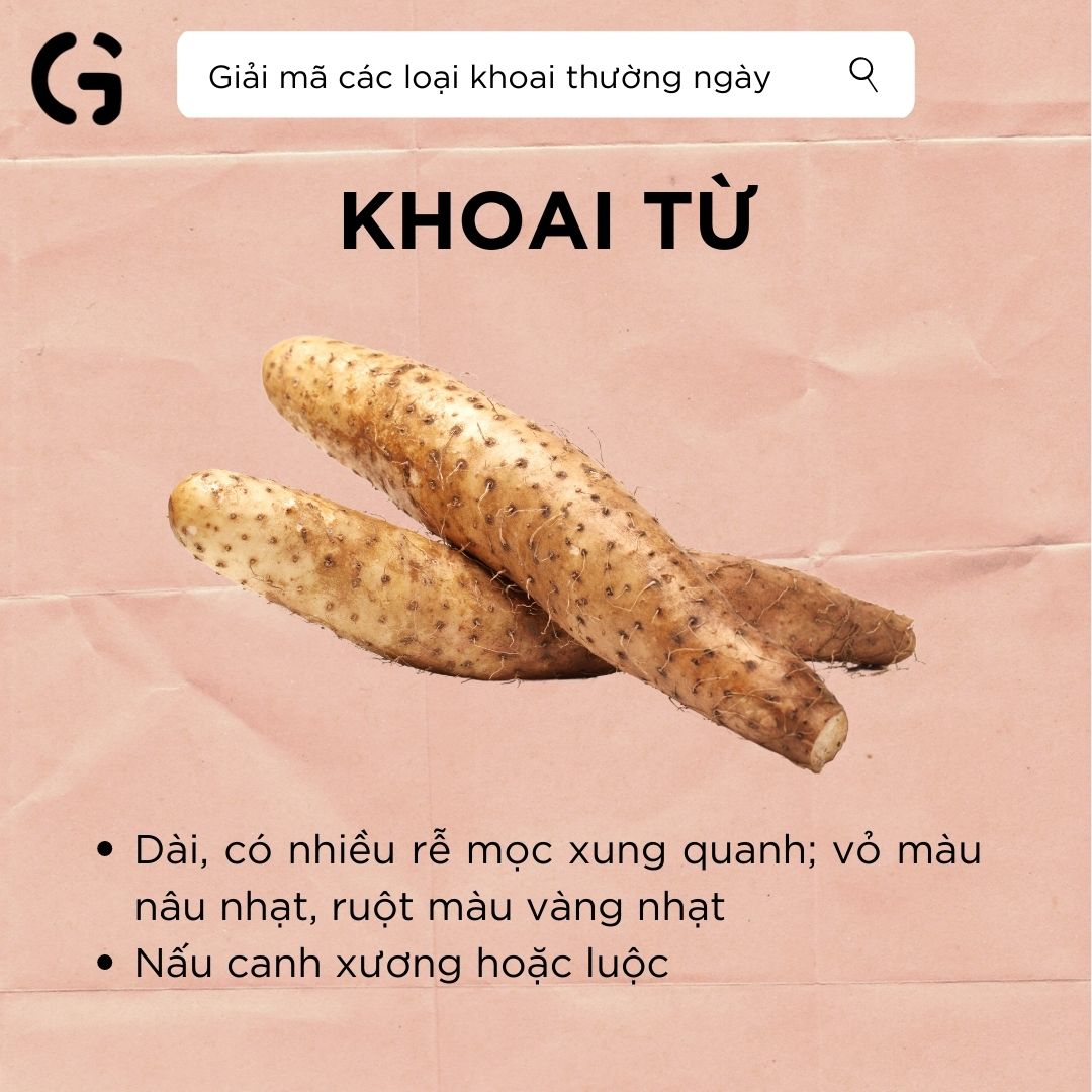 giải mã khoai từ