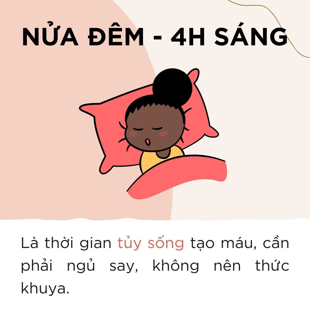 Cơ thể của chúng ta hoạt động như thế nào vào buổi tối?