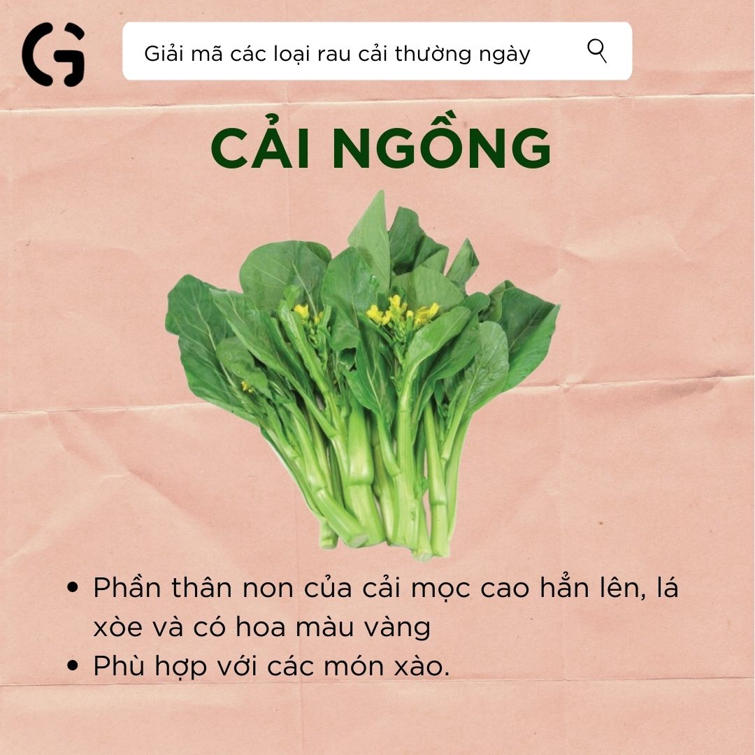 Hình dạng và công dụng của cải ngồng