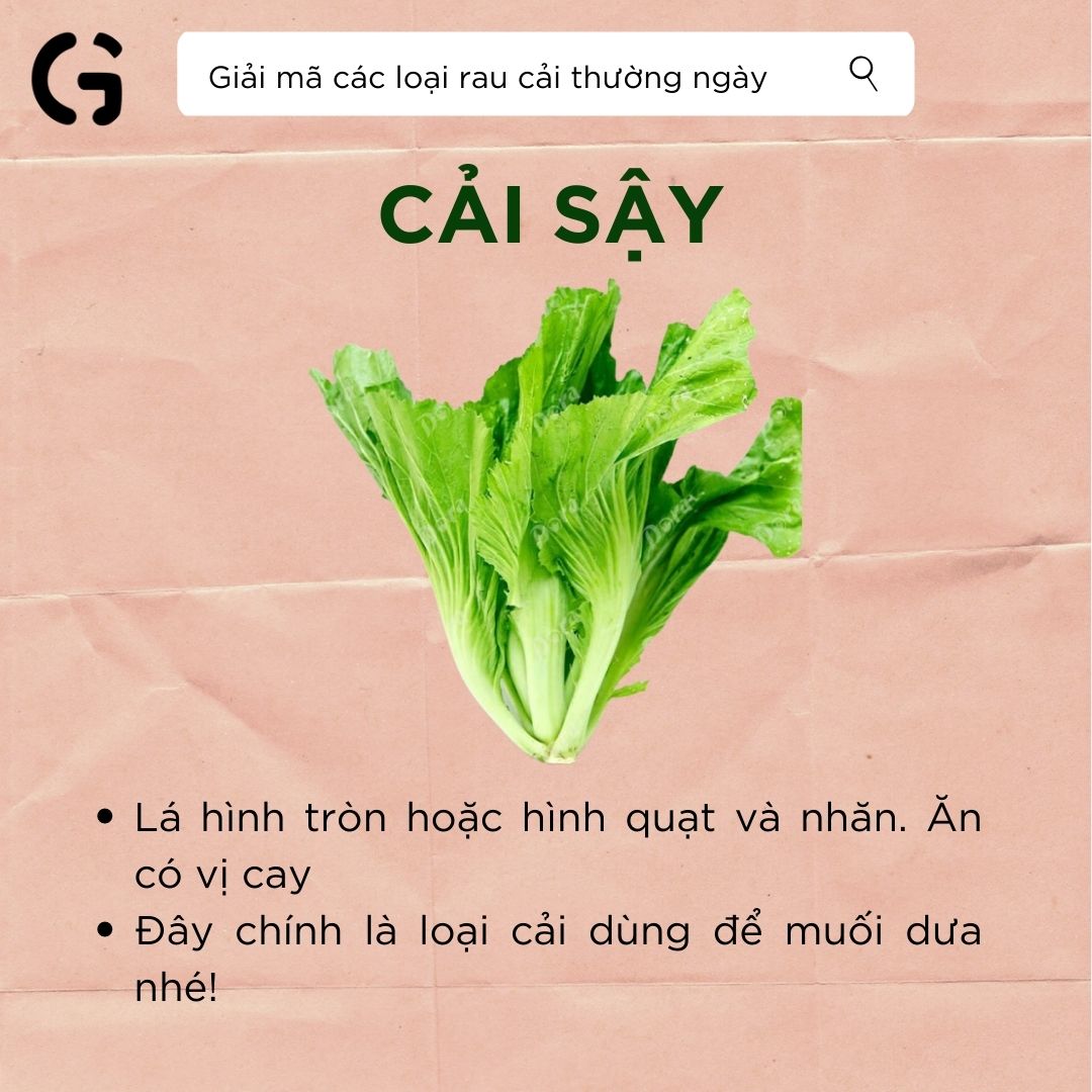 Hình dạng và công dụng của cải sậy