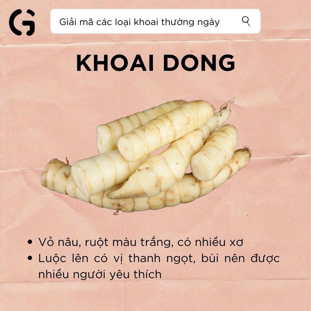 giải mã khoai dong