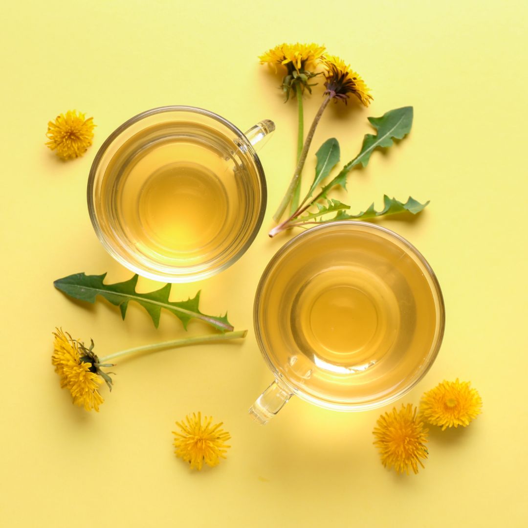 Trà hoa bồ công anh giúp detox tốt cho gan và thận