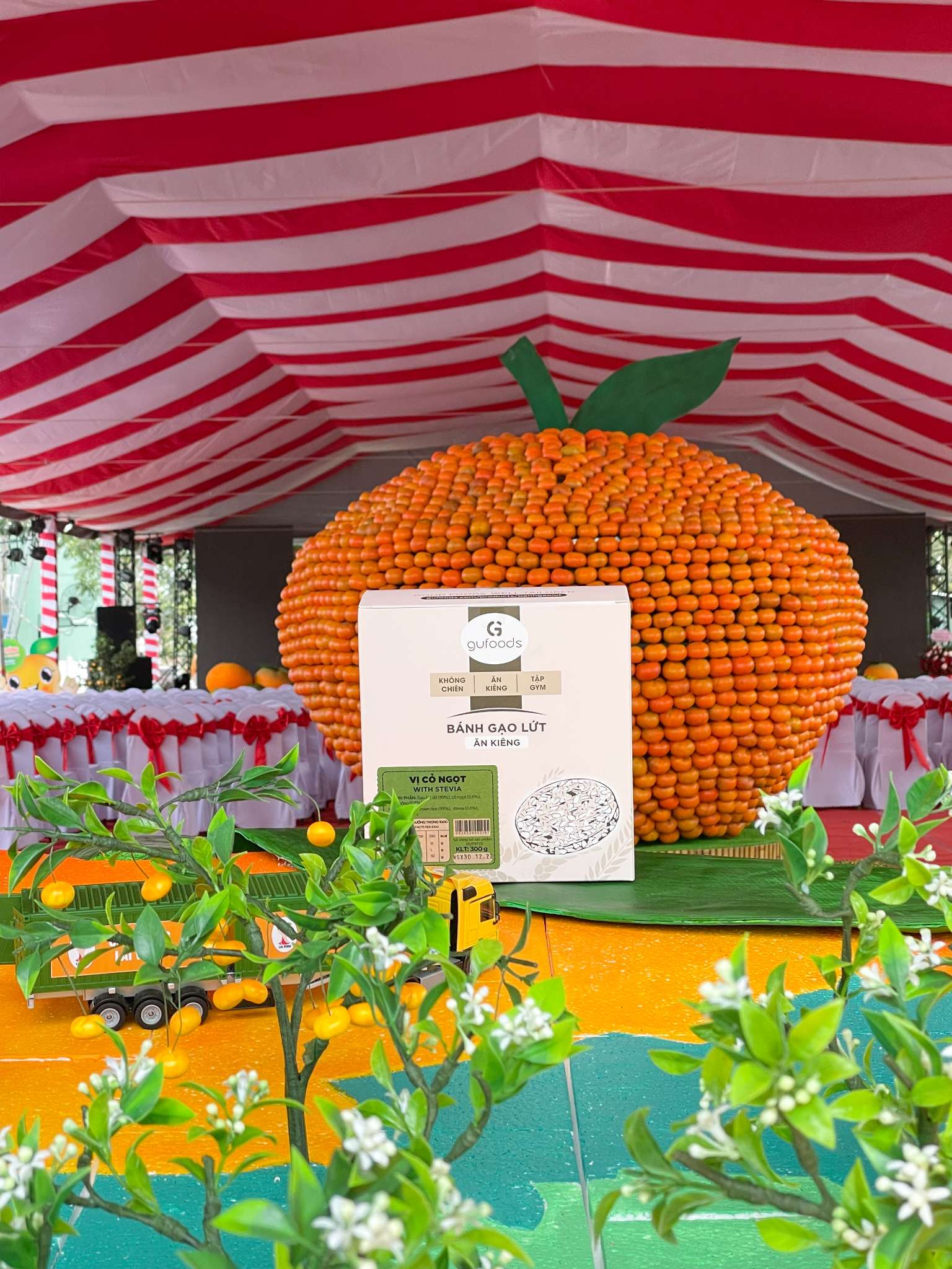 Lễ hội quýt hồng lai vung