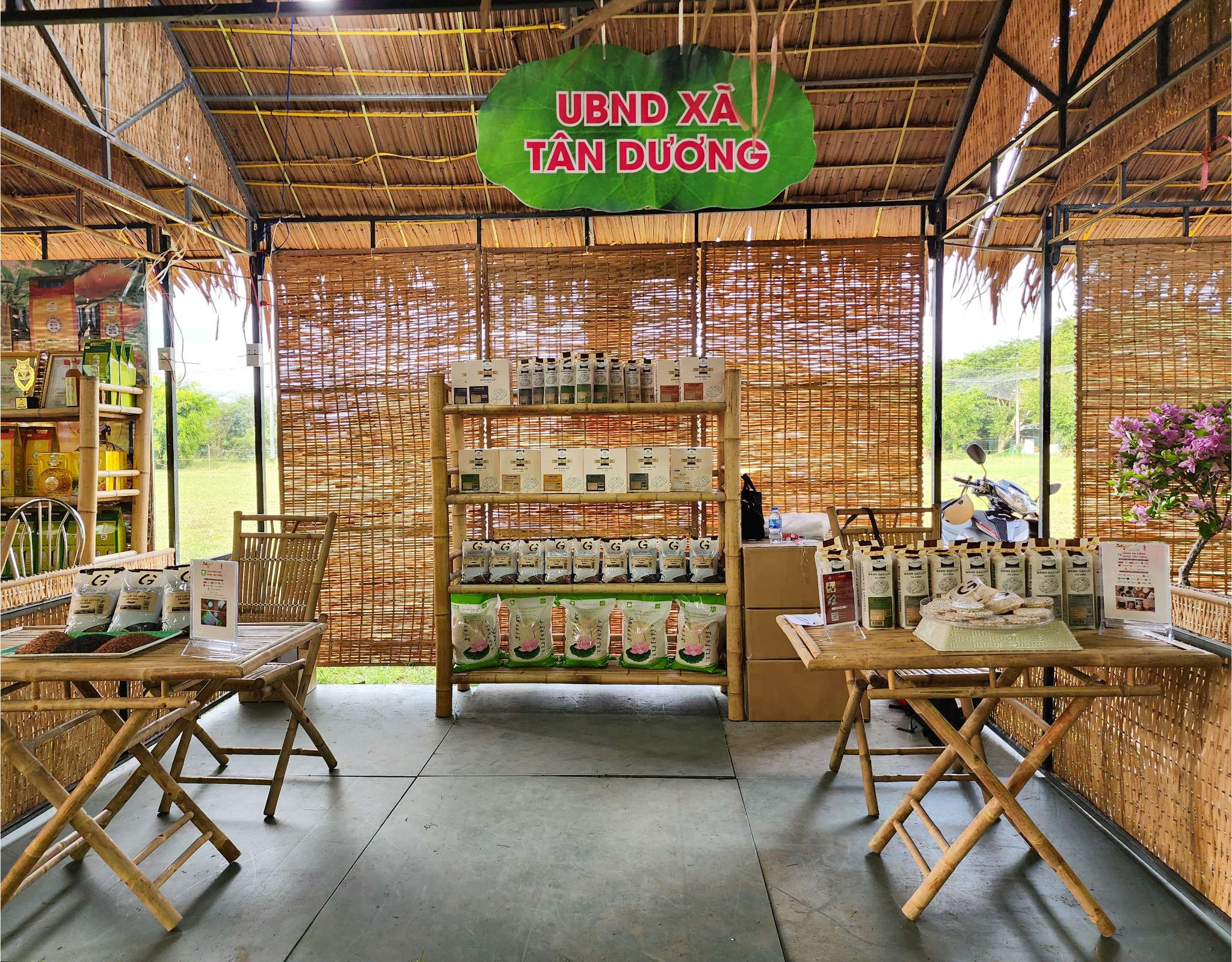 Lễ hội quýt hông Lai Vung