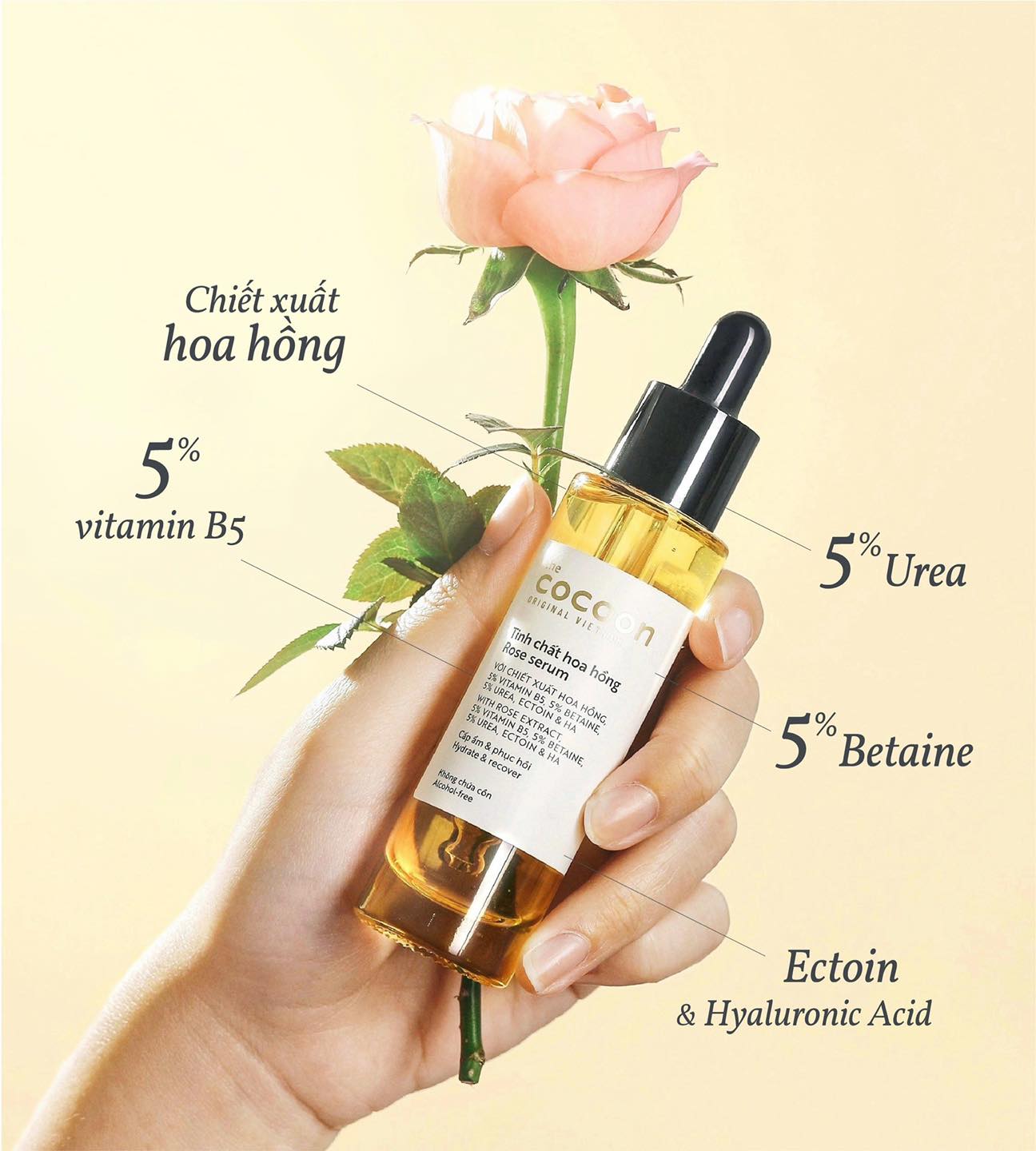 Thành phần Serum Cocoon tinh chất hoa hồng cấp ẩm phục hồi da 30ml