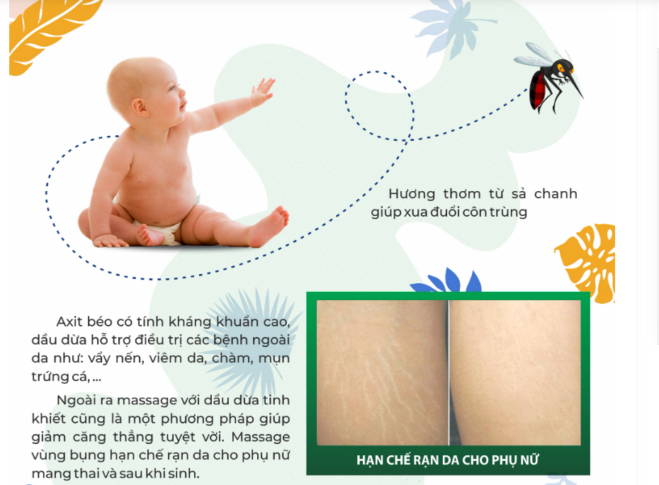 Công dụng của dầu dừa tinh khiết hoa nhài - dưỡng da