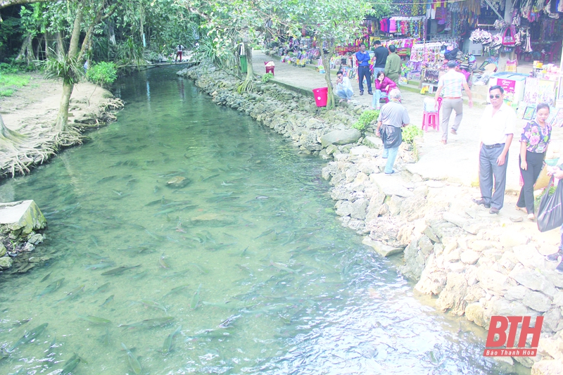 Suối cá Cẩm Lương