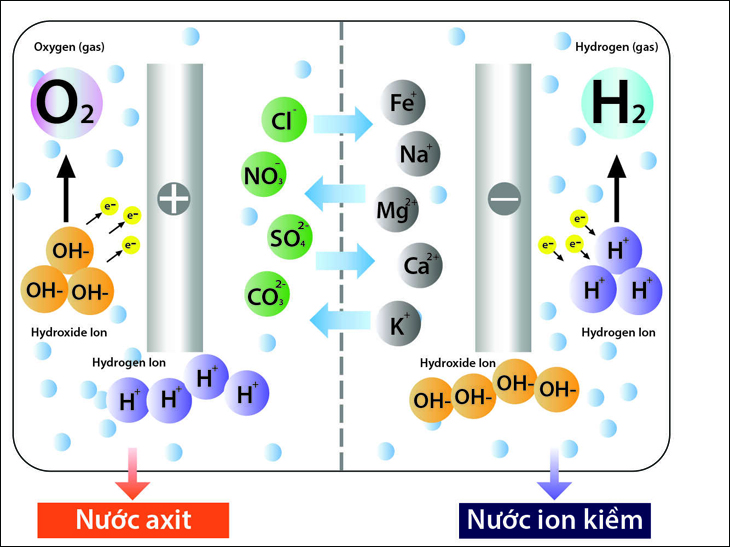 Máy lọc nước Ion kiềm Primer Kanzen PK-08