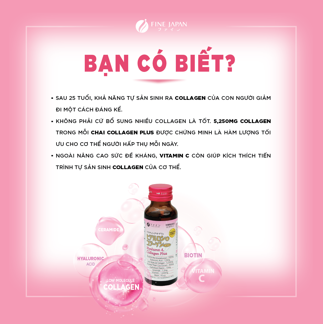 Tầm quan trọng của collagen