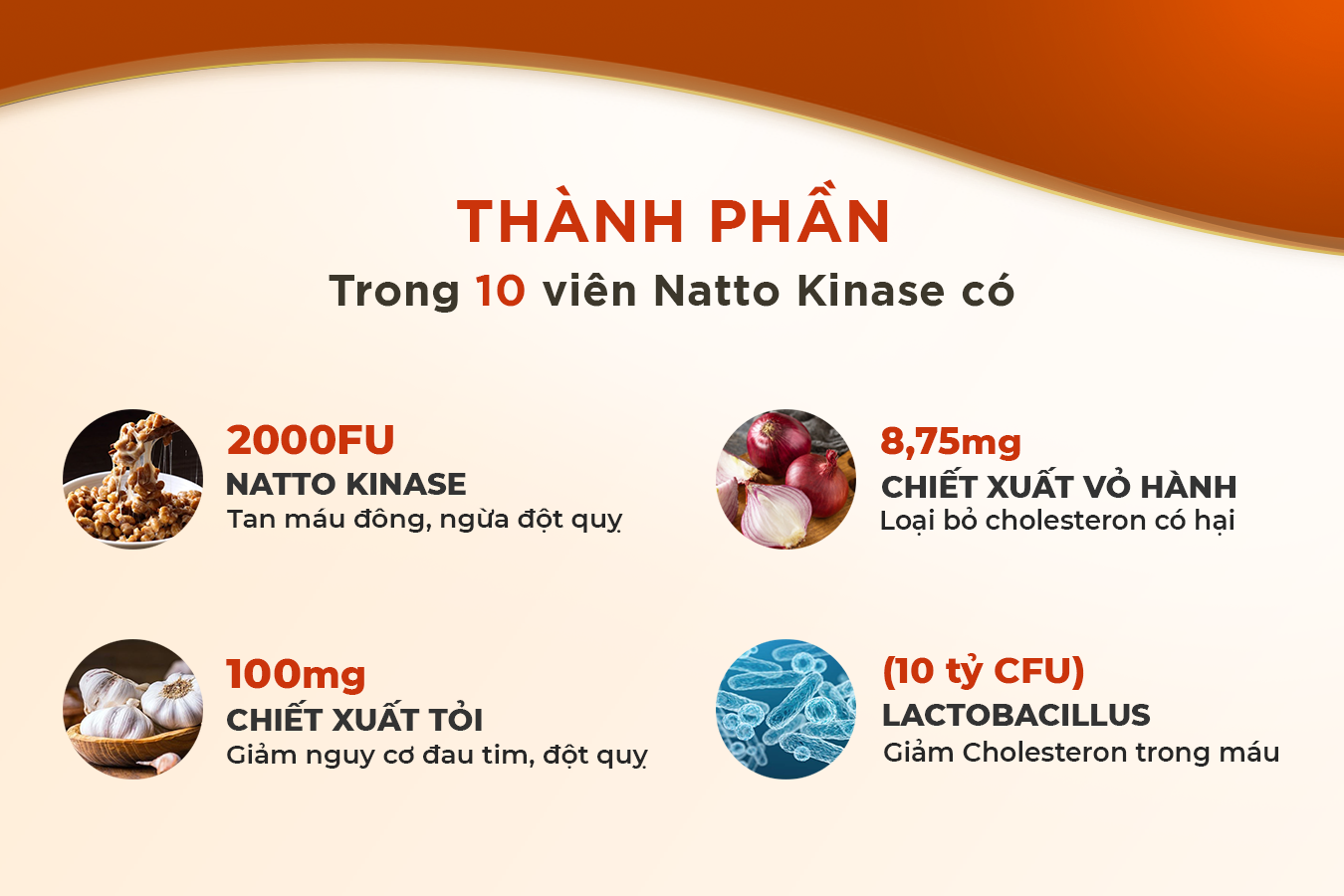 Thành phần vi chất của Fine Japan Natto Kinase