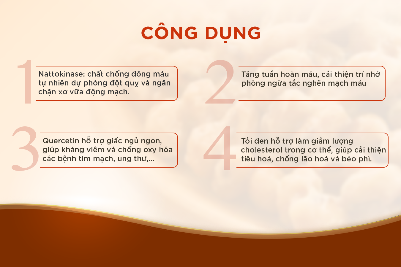 Công dụng của Natto Kinase Fine Japan ngăn ngừa đột quỵ