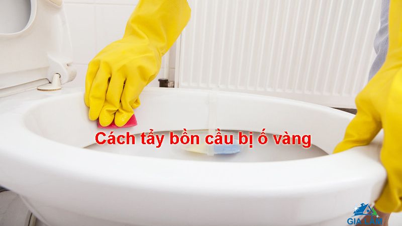 Tẩy rửa nhà tắm/ bồn cầu SWAT