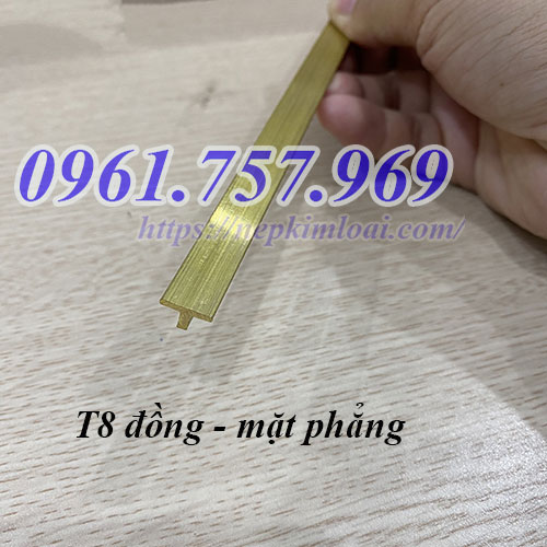 nẹp đồng T8