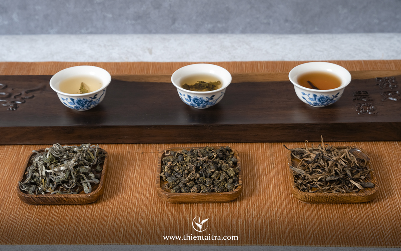 Phân biệt các loại trà dựa vào mức độ oxy hóa là dễ dàng nhất