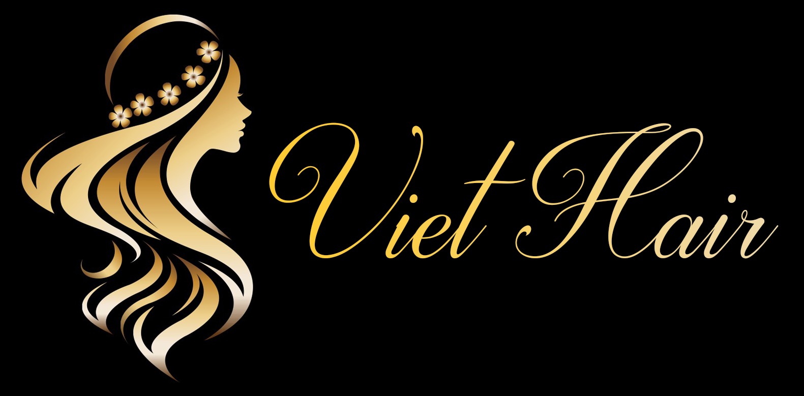 logo VietHair Store