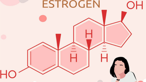 Hormone estrogen đóng vai trò quan trọng đối với cơ thể