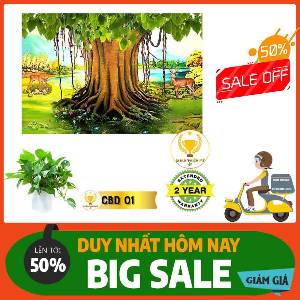 Tranh Cây Bồ Đề