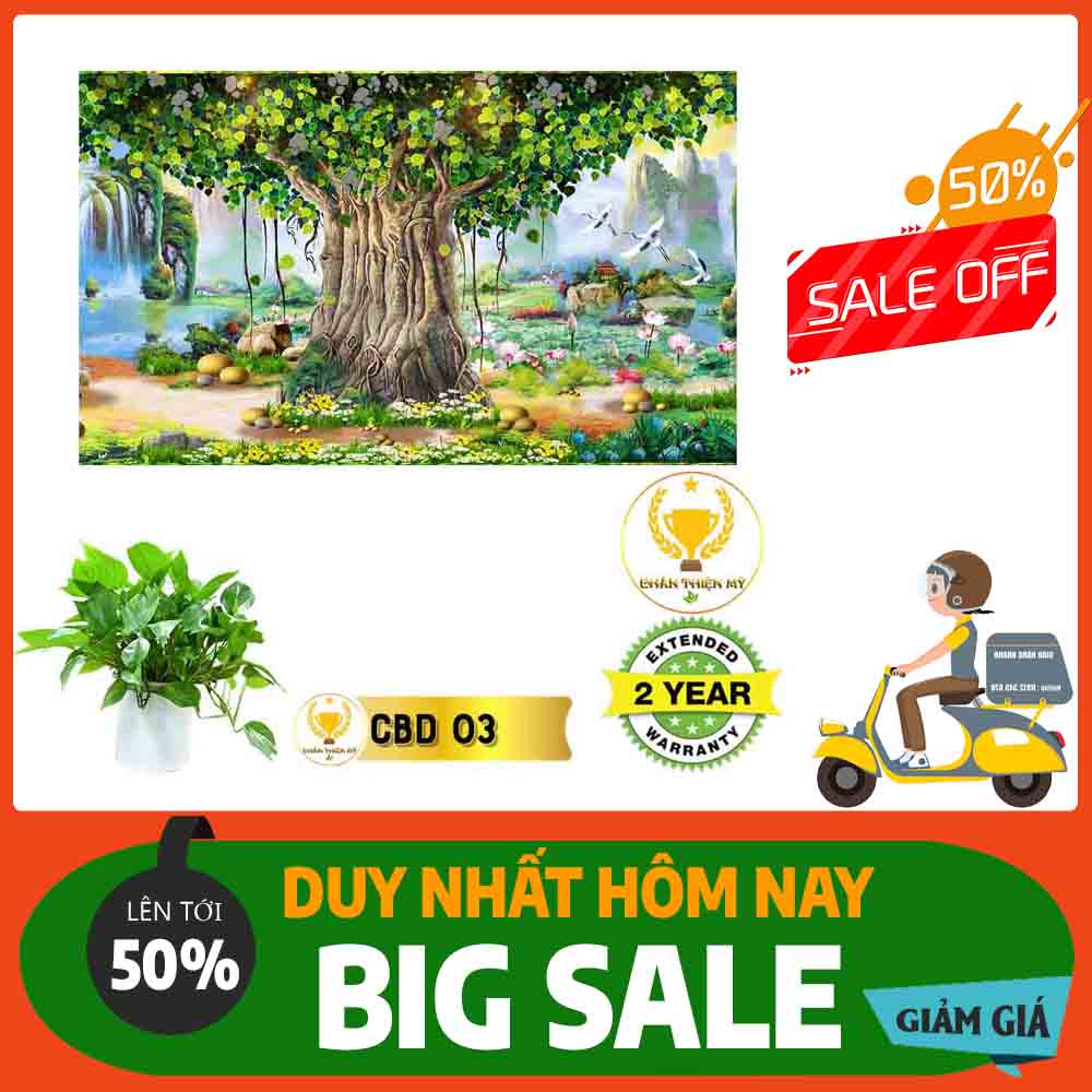 Tranh Cây Bồ Đề