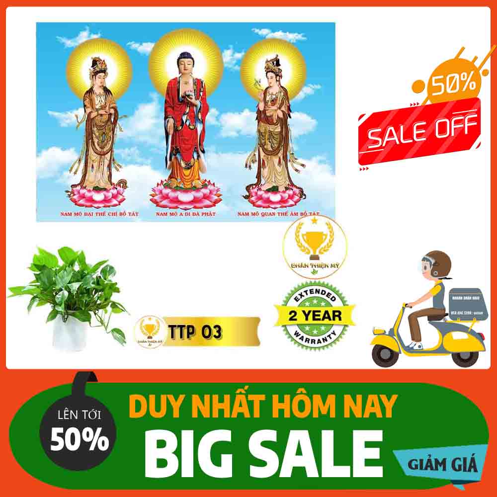 Tranh Tam Thế Phật MS 03