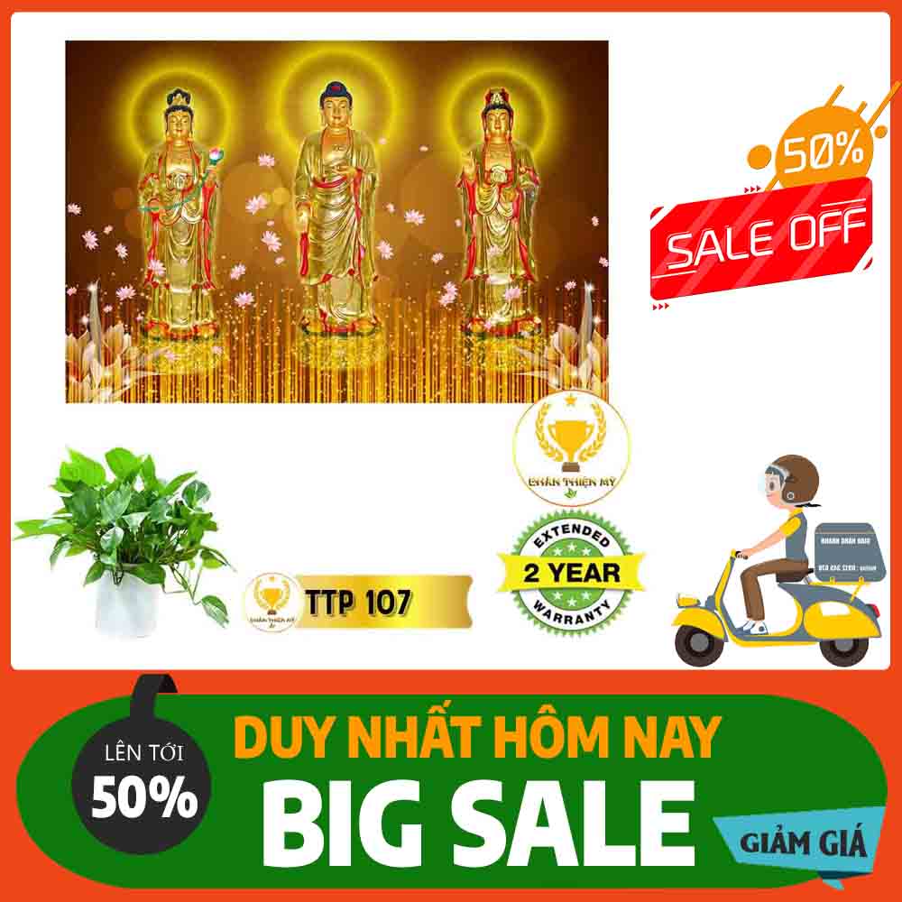 Tranh Tam Thế Phật MS 107