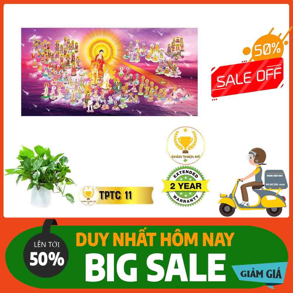 Tranh Tây Phương Tam Thánh MS 11