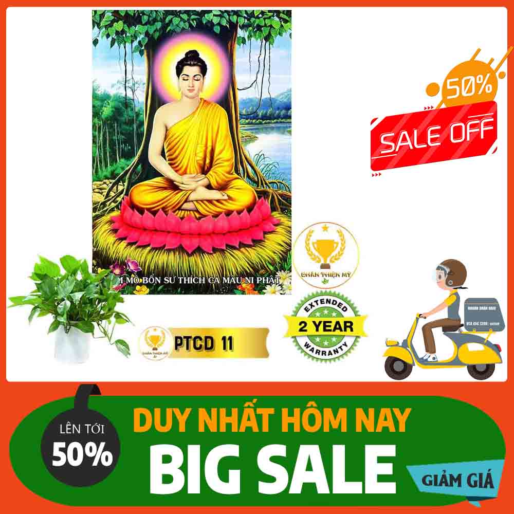 Tranh Phật Thích Ca Mâu Ni MS 11