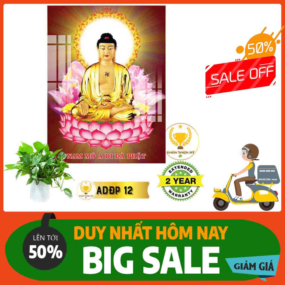 Tranh Phật A Di Đà MS 12
