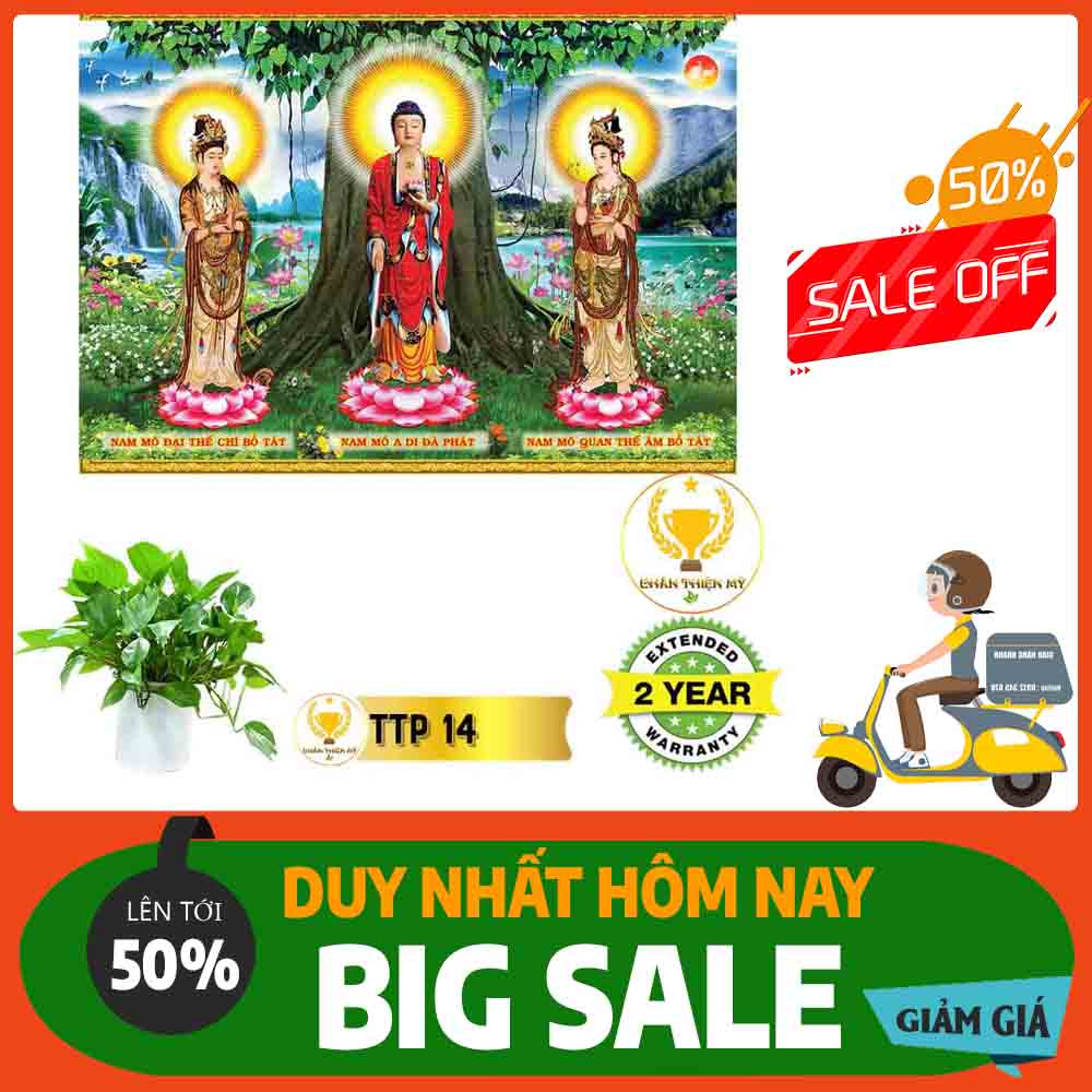 Tranh Tam Thế Phật MS 14