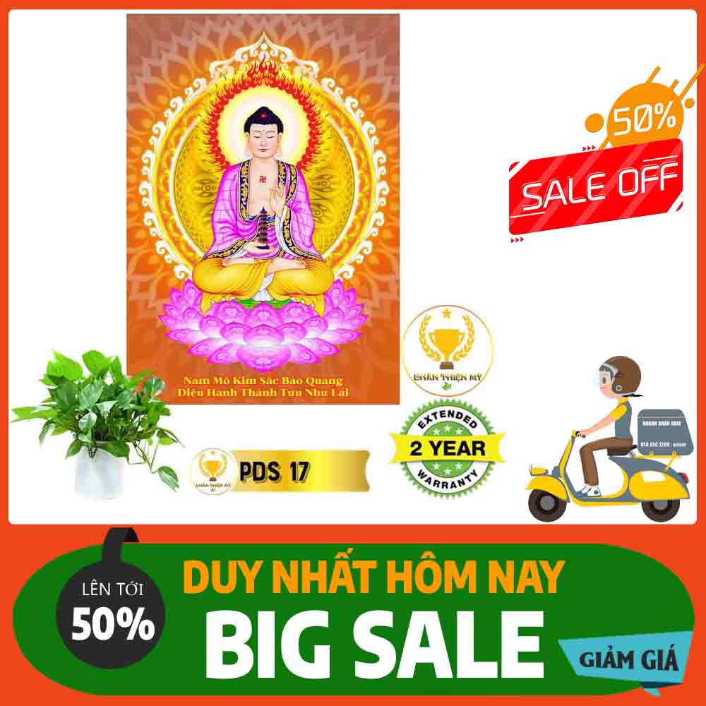 Tranh Phật Dược Sư  MS 17