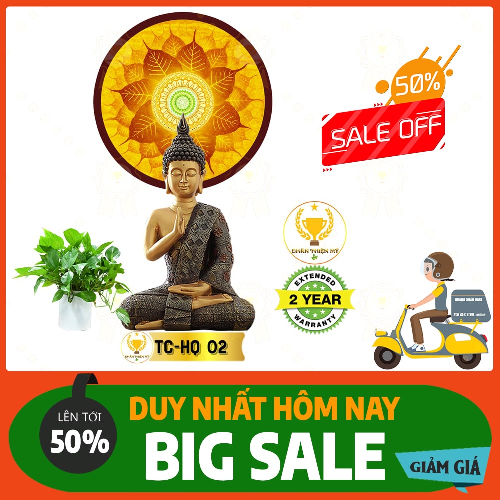 Hào quang trúc chỉ in TC 02