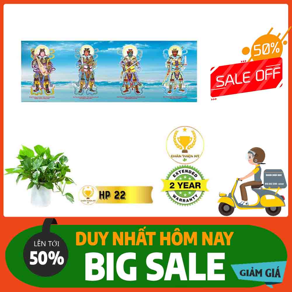 Tranh Hộ Pháp MS 22