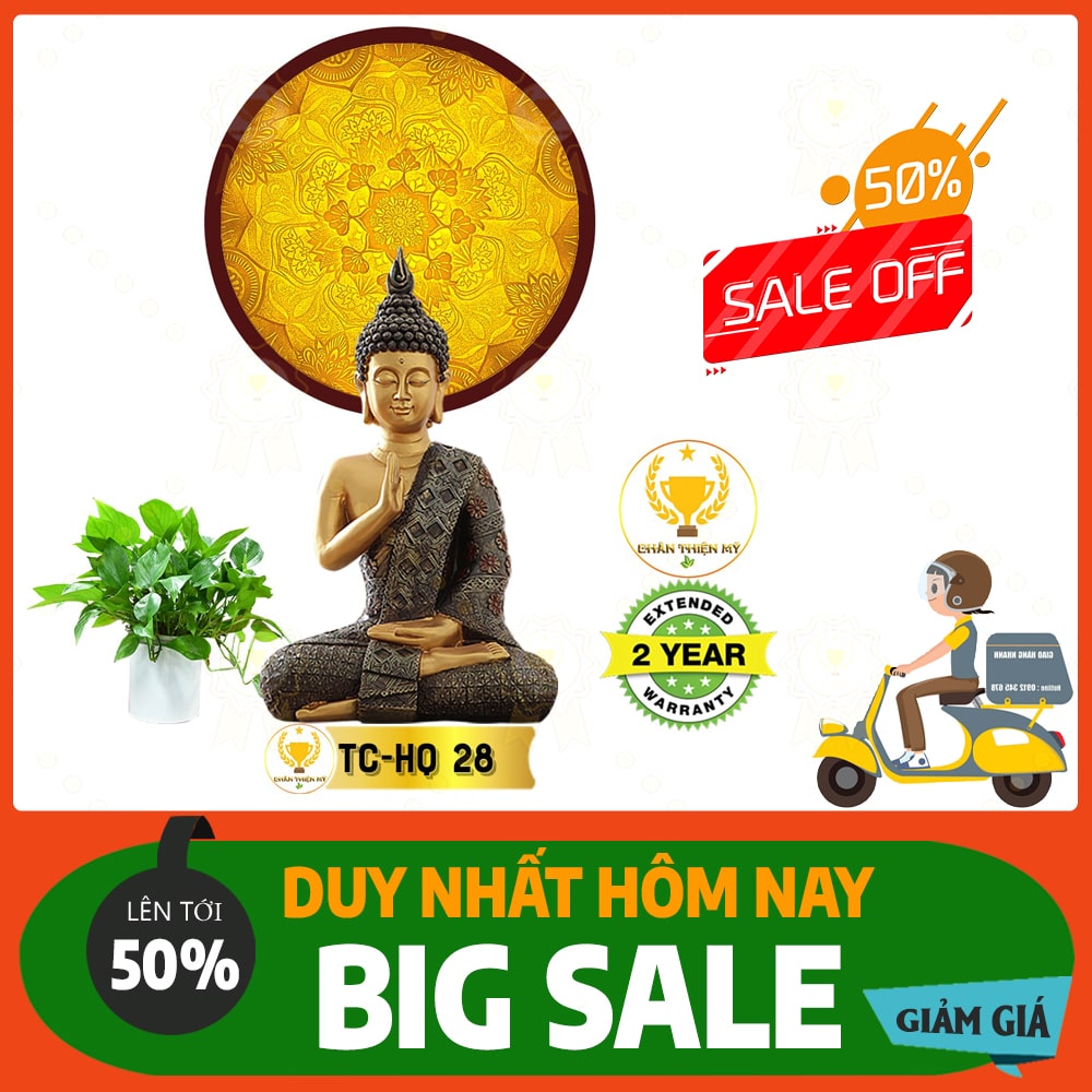 Hào quang trúc chỉ 6