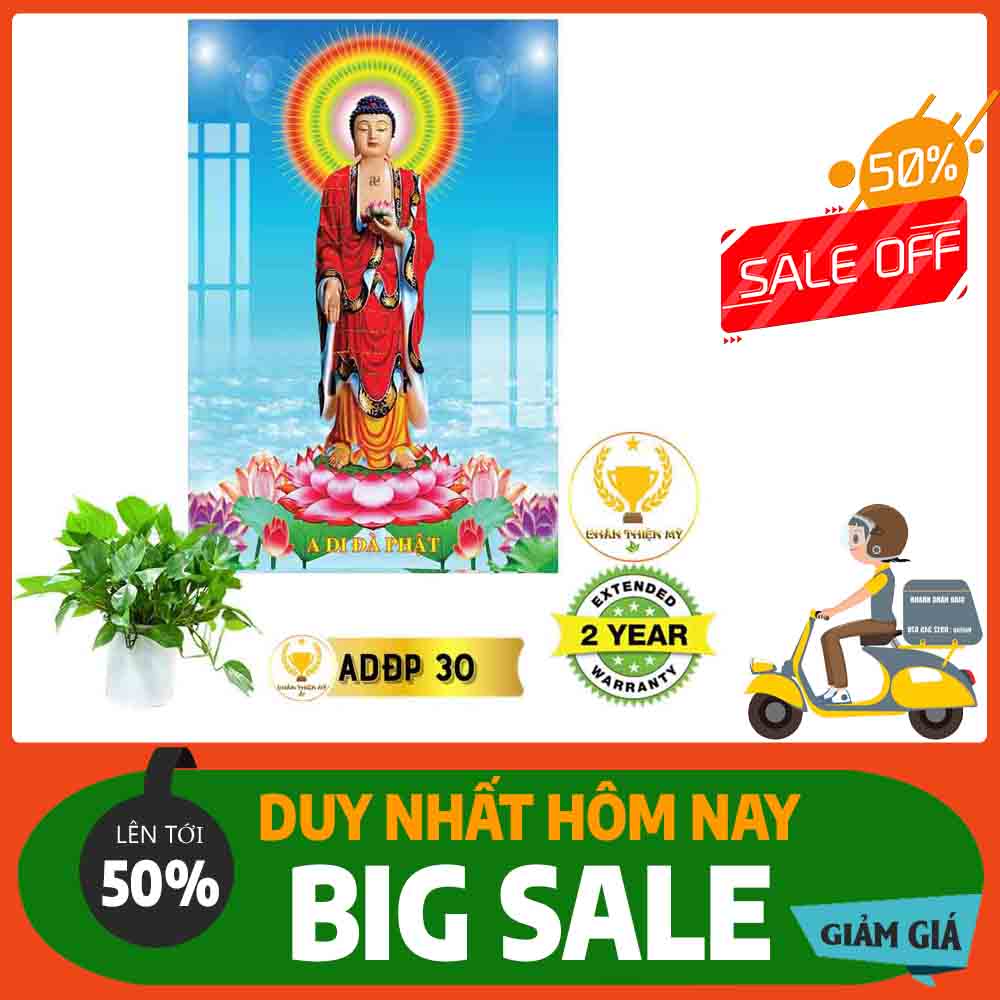 Tranh Phật A Di Đà 02