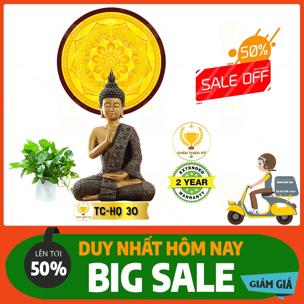 Hào quang trúc chỉ 6