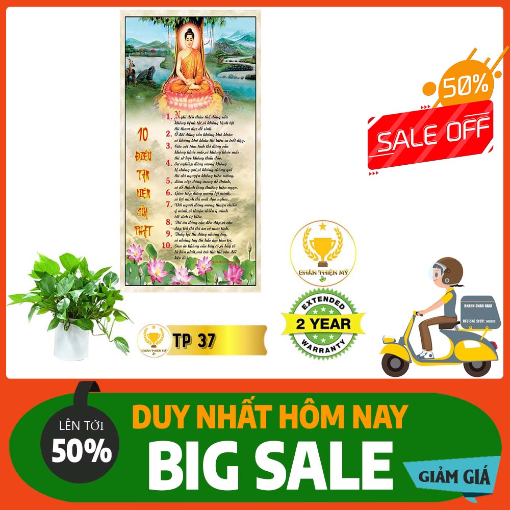 Tranh Thư Pháp nhiều mẫu