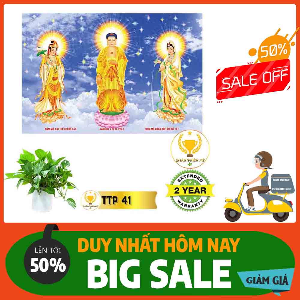Tranh Tam Thế Phật MS 41