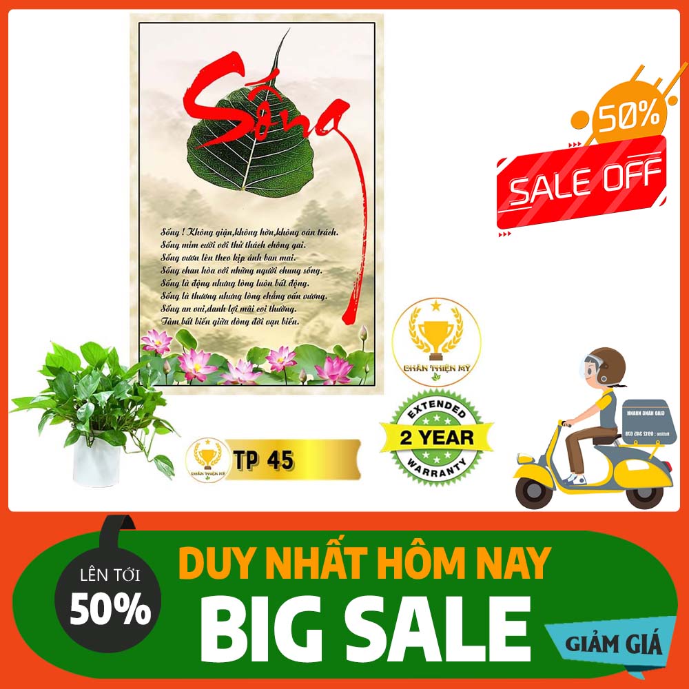 Tranh Thư Pháp nhiều mẫu