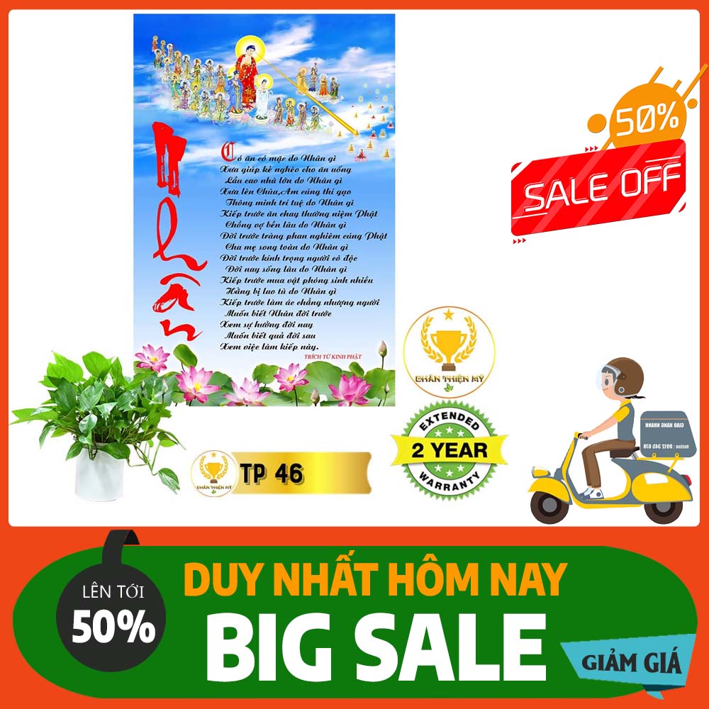 Tranh Thư Pháp nhiều mẫu