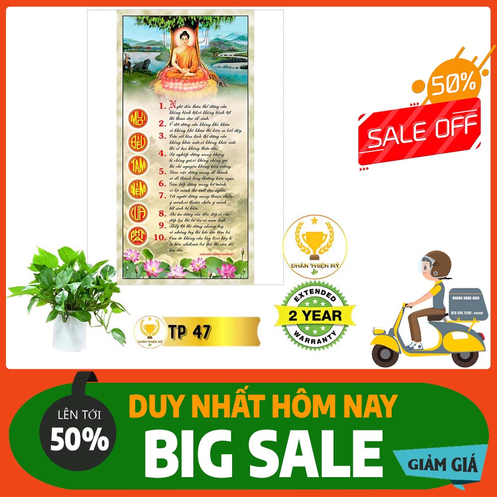 Tranh Thư Pháp nhiều mẫu