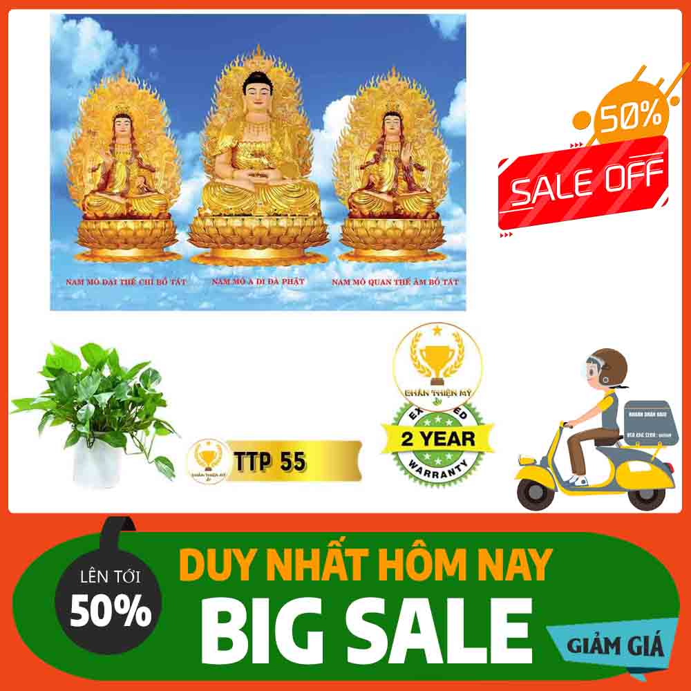 Tranh Tam Thế Phật MS 55