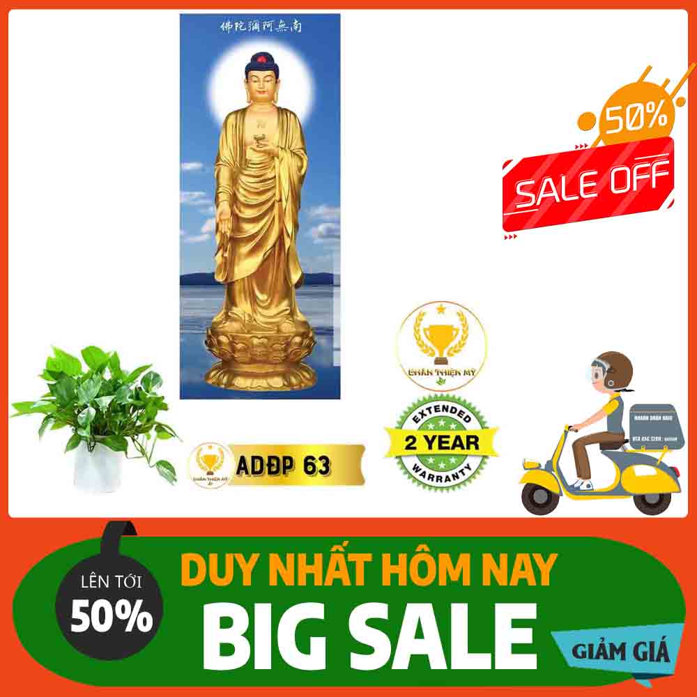Tranh A Di Đà Phật 05